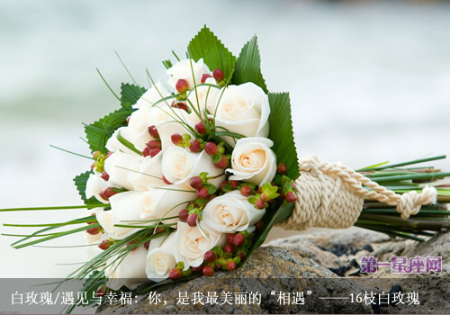 白玫瑰花语:送白玫瑰代表什么意思?