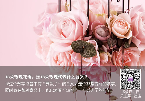 18朵玫瑰花语，送18朵玫瑰代表什么含义？